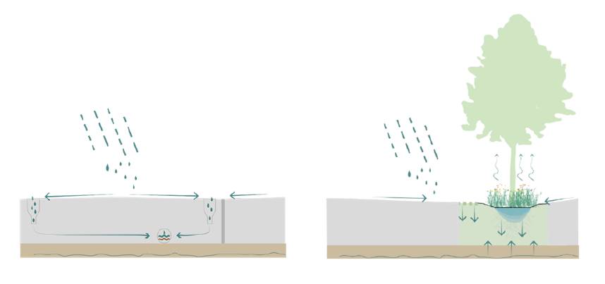 Visualisierung Wasserkreislauf in der Stadt vs. Grünflächen